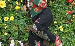 带你体验中老友谊之旅